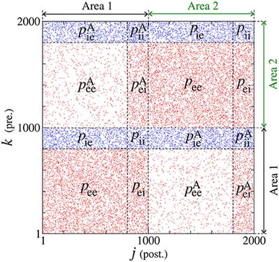 Emergence of Neuronal Synchronisation in Coupled Areas